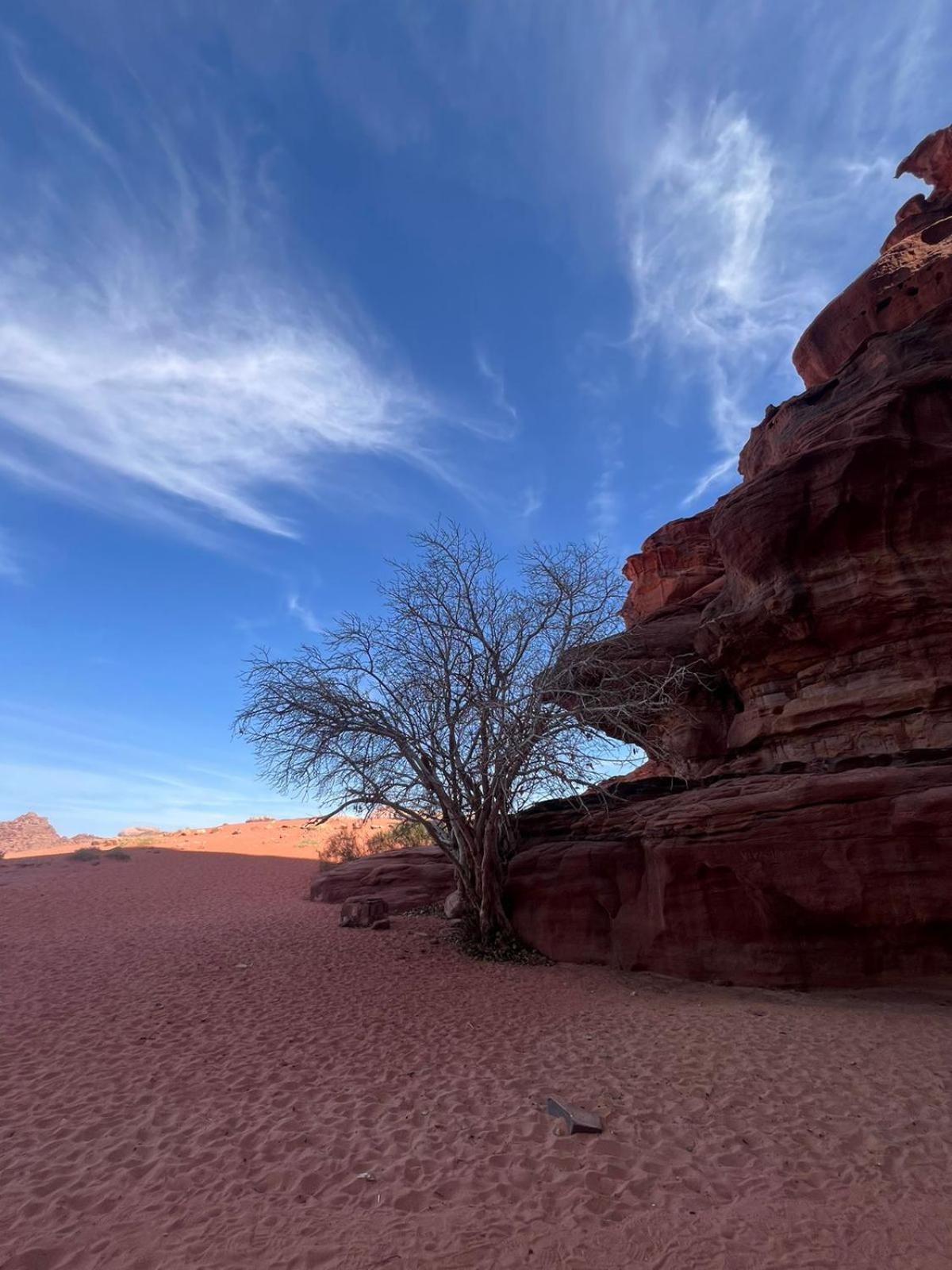 Desert Rock Camp วาดิรัม ภายนอก รูปภาพ